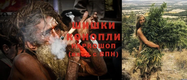 бошки Протвино