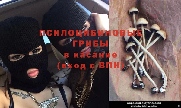 гидропоника Абинск